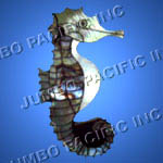 Shell brooches crafted in sea horse design